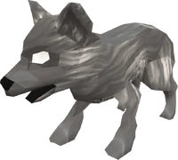 Juvenile wolf