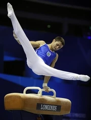 Zozulya roman