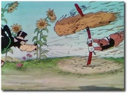 18707