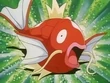 EP080 Magikarp