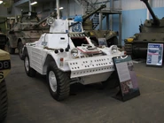 UNFerretBovington