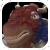 CyrDrakMini.png (5 KB) CyrDrakMini