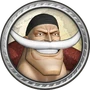 One Piece - Pirate Warriors Trophy 16