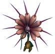 Unknown 2 FF7