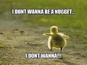 Nugget