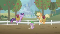 Twilight and Applejack excited S1E03