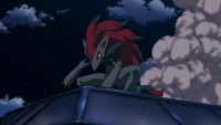 P13 Zoroark