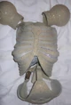 Charity Buzz Skeletal bodice