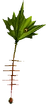 Rilfsak FF7