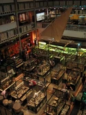 Pitt-rivers-m2