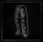 Assassins breeches