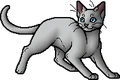 Willowpelt.apprentice