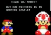 NES Toad