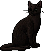 Leopardfoot.warrior