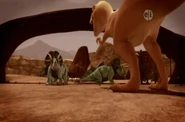 Triceratop Acers Tyrannosaurus