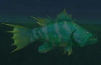 EnormousCattailGrouper