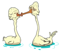 Old Swans