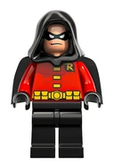 HoodedRobinFig2