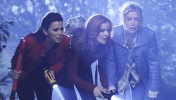 Desperate Housewives 8x06