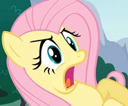Fluttershy shock