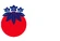 New Changhuan Flag