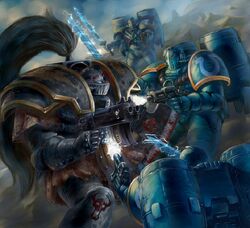 UM vs. Word Bearers Termi