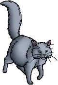 Mistystar.queen