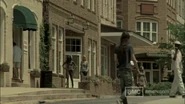 Woodbury4