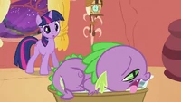 Twilight looking at Spike on the basket S2E02