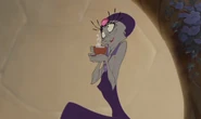 Yzma 92