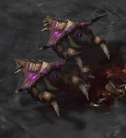 Zergbroodngs