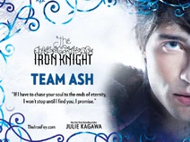 Team ash