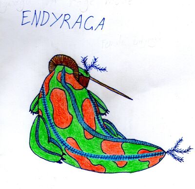 Endyraga