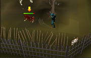 Fight Arena safespot