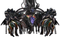 13 anima