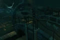 Luring wolves.png