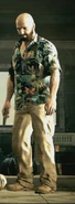 Hawaii Shirtbaow