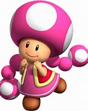 Mario Toadette