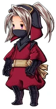 Ninja