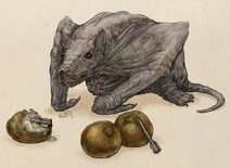 Bat
