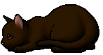 Shrewpaw (TC).kit.png (3 KB) Shrewpaw (TC).kit