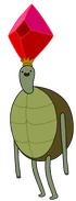 Mr. Turtle