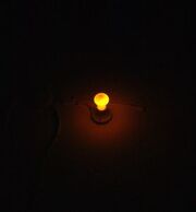Night Light