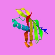 2W9P.pdb1