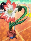 Amarylease-JP-Anime-ZX-NC