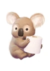 Cushelle koala