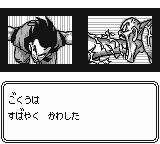Dragon Ball Z Goku Hishōden (11)