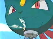 EP267 Globo Sneasel