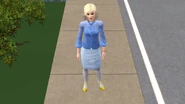Ladycook