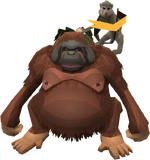 Unuki
